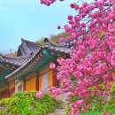 운산주유소 이미지