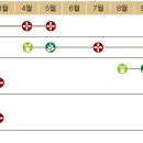 텃밭 채소 기르기-상추 이미지