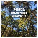 아침고요푸른마을 | 가평 촌캉스 추천 아침고요푸른마을 쉼이있는숲으로