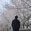 정자나무아래 | 광주 전남 나주 한수제 벚꽃축제 미리 다녀온 날, 로컬맛집 정자나무 후기