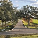 [LA]Oak Alley Plantation 이미지