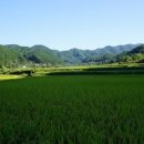 추량천 네이버블로그
