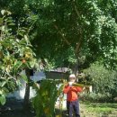 늘푸른세탁 이미지