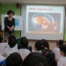 상산초교 병설유치원 이미지