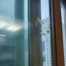 배곧유호N-CITY1차(배곧유호엔시티1차) 이미지