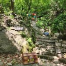 석굴암 천룡도 이미지