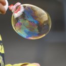 포산유치원 이미지