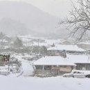 영화마을 이미지