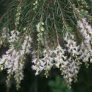 경희코스모스한의원 이미지