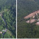 심원자연 이미지