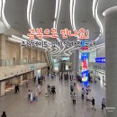 팔도 밥상 | [광교데이트코스] 국내최대푸드쇼 팔도밥상페어 2025 후기 | 수원여행코스 추천