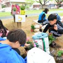 작은여우비 이미지