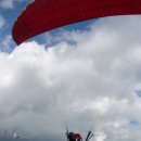 부림체육관 이미지