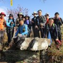 [화개지맥1 산행기] 광산사~광려산삿갓봉/지맥분기점~상투봉~호암산~화개산~신당고개(2018,11/3) 이미지