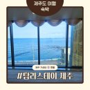 탐라스테이 제주 | 제주 애월 숙소 추천 탐라스테이 제주｜바다 보이는 가성비 호텔 후기