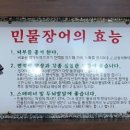 일출봉 민물장어 이미지