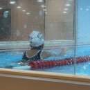 머리하는이유 - 남구 회재로1218번길 10 | 수영샴푸 꼭 챙겨야 하는 이유 어푸밍 수영장 염소제거 올인원 후기