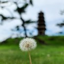 명품가로숲길 | 경북 의성 여유롭고 알차게 1박 2일 여행