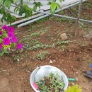 에버스트리트 이미지