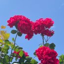 강영미산부인과의원 이미지