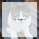 나만의 카페 메뉴 이미지