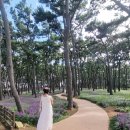 물결공원 화장실 이미지