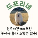 봄이야 놀자 이미지