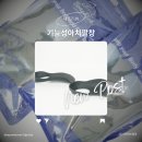 바른컴퍼니 | 기능성깔창 아치깔창 운동화깔창 바른컴퍼니