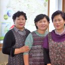 농업회사법인 정다운(주) Daum카페