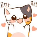 회신물회 네이버블로그