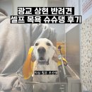 슈슈댕 Grooming 광교상현점 | 광교 상현 반려견 셀프 목욕 슈슈댕 후기