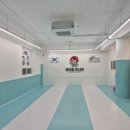 박성광온리원태권도 이미지