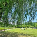 푸른특별시 | 서울 무료 가볼만한 곳 수목원 추천 6월 푸른수목원 산책 후기