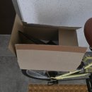 중앙대로10L | 매일매일이 평화롭고 행복하길 바라는 3월 마지막 주