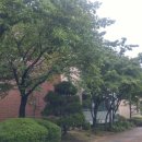 분당-259 이미지