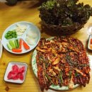 망경장어 이미지