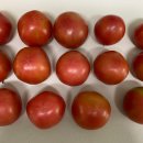 은골농장 이미지