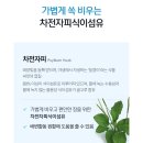 인셀덤화장품가게 | 쾌변 그 이상의 에너지! 인셀덤 딥톡 플러스 후기✨ 변비, 설사, 남성 정력까지 챙기는 '장(腸) 건강...