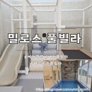 여수키즈풀빌라 추천 밀로스풀빌라 K102호 가족여행 후기