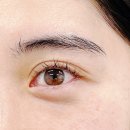 디온 | 화정눈썹왁싱 첫 경험, Before/After 확 달라서 놀란 디온브로우 후기