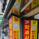 영창애견