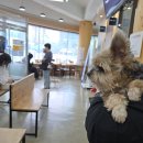 온누리 종합 동물병원 이미지