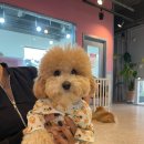 코코앤몽 이미지