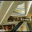 강남애견백화점 네이버블로그