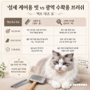 고양이 참빗 내돈내산 후기｜장모종 고양이 빗, 얼굴 · 턱라인 브러쉬로 써본 기준
