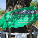 마을정자 이미지