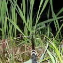 (주)서목 이미지