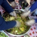 헬로데이즈
