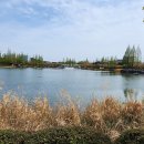 연지공원(타고가야) 이미지