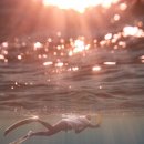 이다사 | 울릉도에서 바다여신 되기💦